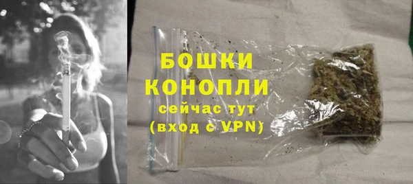 mdpv Богородск