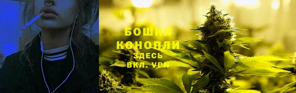 mdpv Богородск