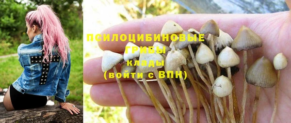 мефедрон Богородицк
