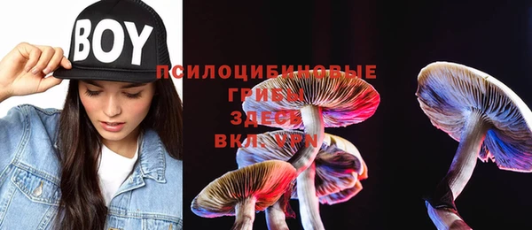 мефедрон Богородицк